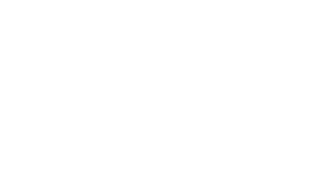 סליק